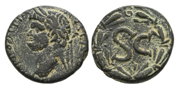 Domitian AE 26mm of Antioch, Seleucis and Pieria.