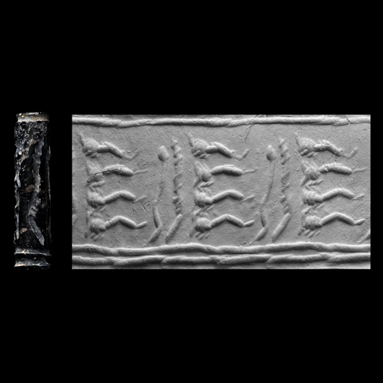 Western Asiatic Black Stone Cylinder Seal with Insects