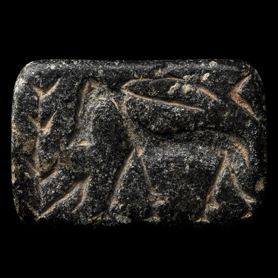 Large Western Asiatic Black Stone Stamp Seal with Animal