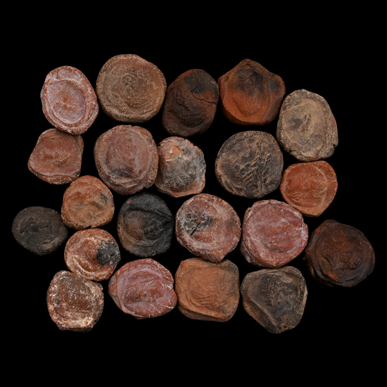 Roman Terracotta Bullae, Tesserae or Token Group