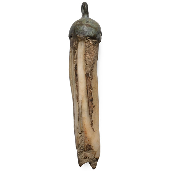 Viking Age Tooth Pendant