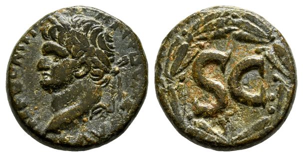 Domitian AE 19mm of Antioch, Seleucis and Pieria.
