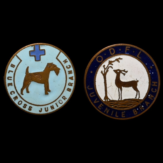Post Medieval Enamelled Badge Group