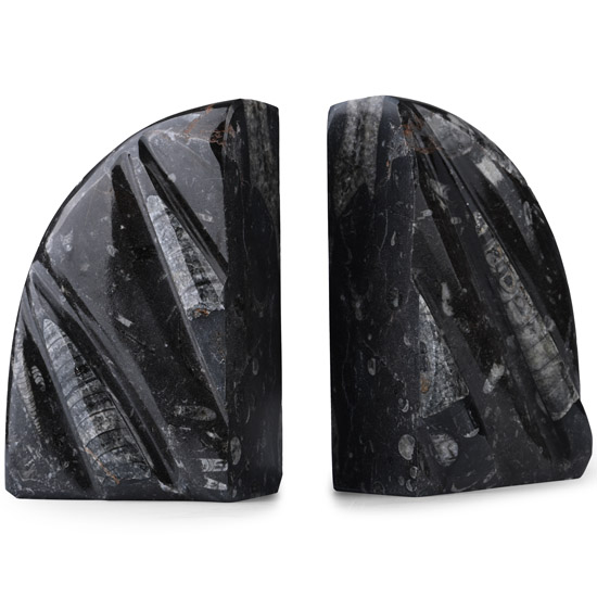 Polished Fossil Orthoceras Book End Pair