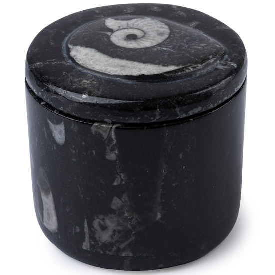 Polished Fossil Goniatite Lidded Pot