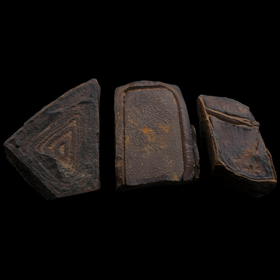 Fossil Mineral Mud Formation Specimen Group
