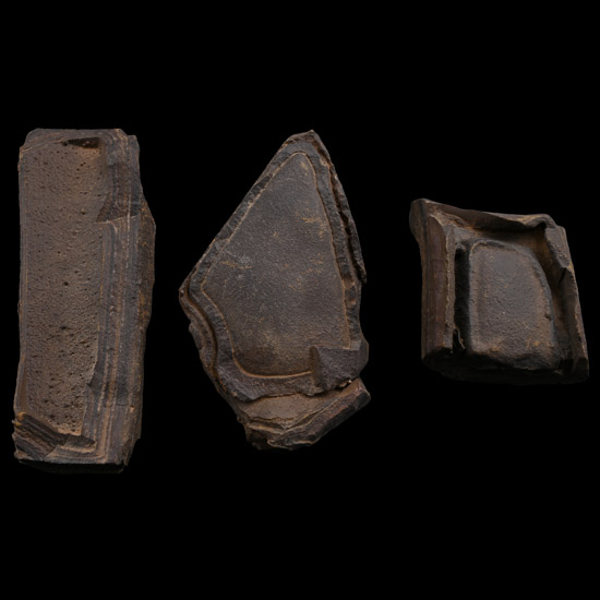 Fossil Mineral Mud Formation Specimen Group