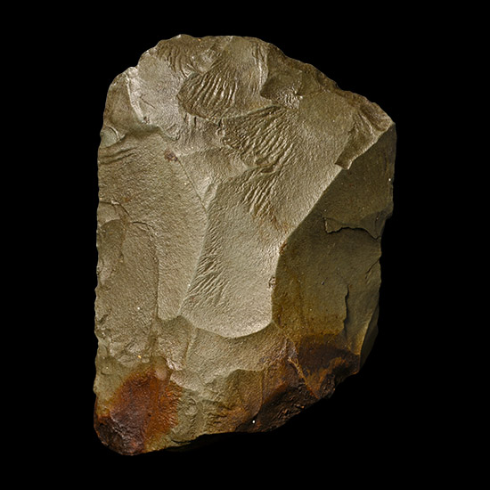 British Stone Age Knapped Langdale Tuff Axe Head