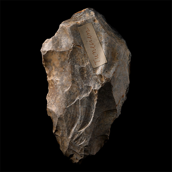 African Stone Age Homo Erectus Knapped Stone Handaxe
