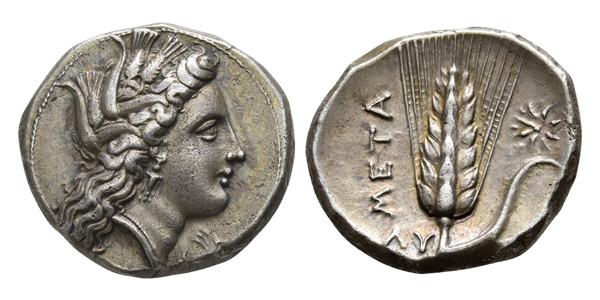 Lucania, Metapontion AR Didrachm or Nomos.