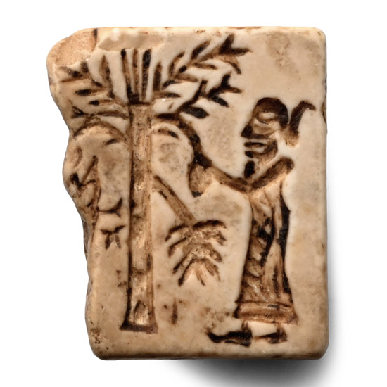 Neo-Babylonian Faience Frog Amulet with Man Plucking a Fruit from a Tree