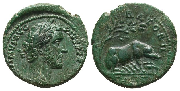 Antoninus Pius ΑΕ As.