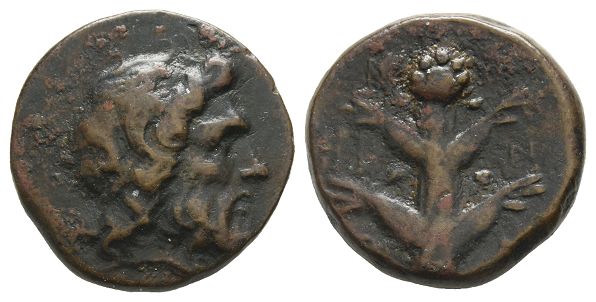 Kyrenaika, Kyrene AE 19mm.