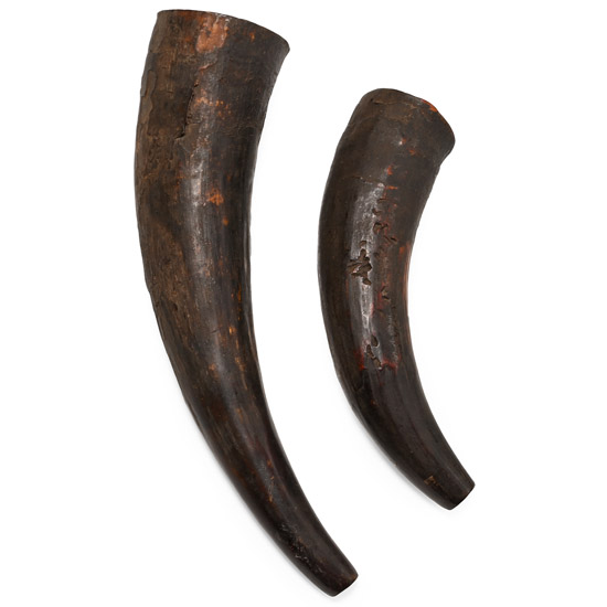 Zulu Womans Izimpondo Medical Cow Horns and Photograph of an Unknown Zulu, a descendant of the Owner, Holding Them