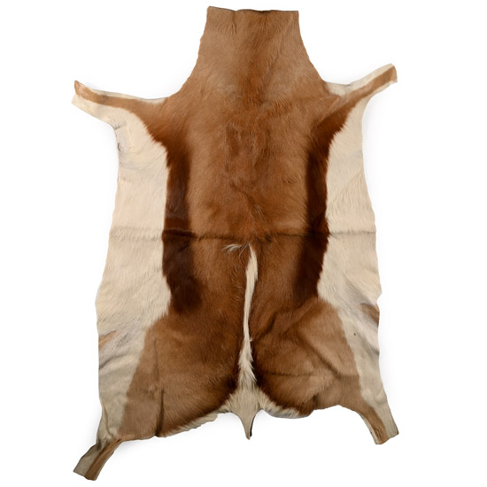 Zulu Impala Rug