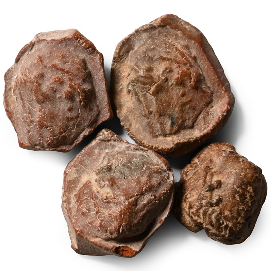 Jewish Terracotta Bullae, Tesserae or Token Group