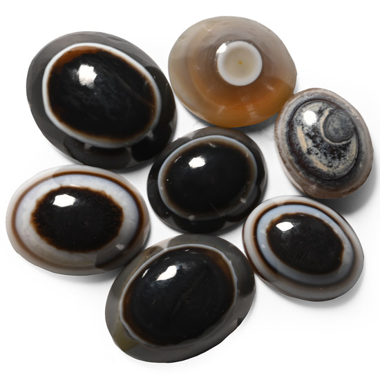 Banded Agate Eye Gemstone Group