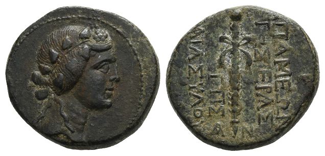 Seleukis and Pieria, Apameia AE 22mm.