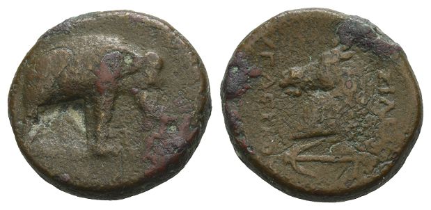 Seleukid Empire, Seleukos I Nikator AE 21mm.