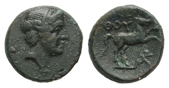 Lucania, Thourioi AE 13mm.