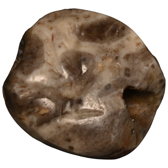 Phoenician Marbled Grey Stone Scarab with Bird