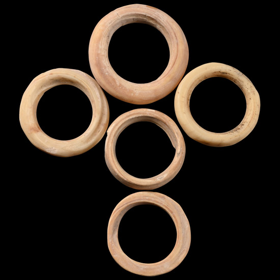 Roman Bone Ring Group