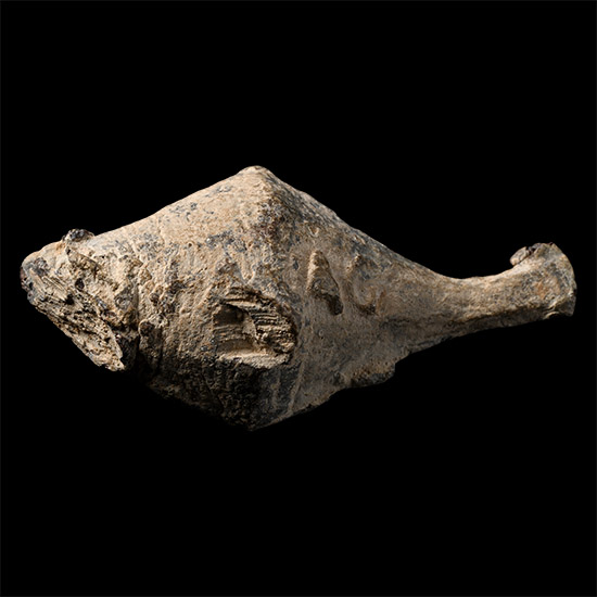 Roman Lead Cnaeus Pompey Battle of Munda Slingshot