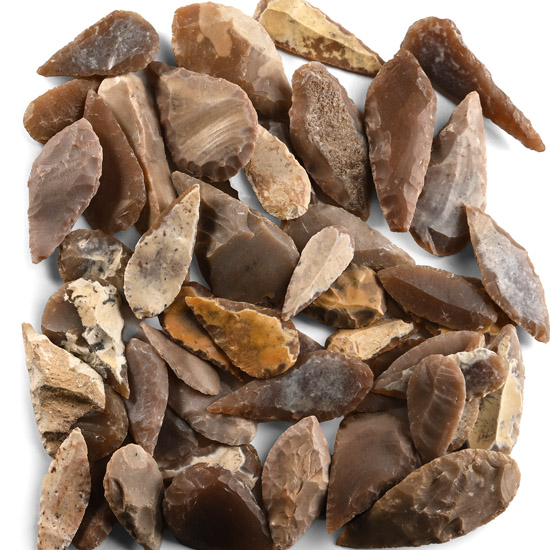 Stone Age Mixed Type Arrowhead Collection