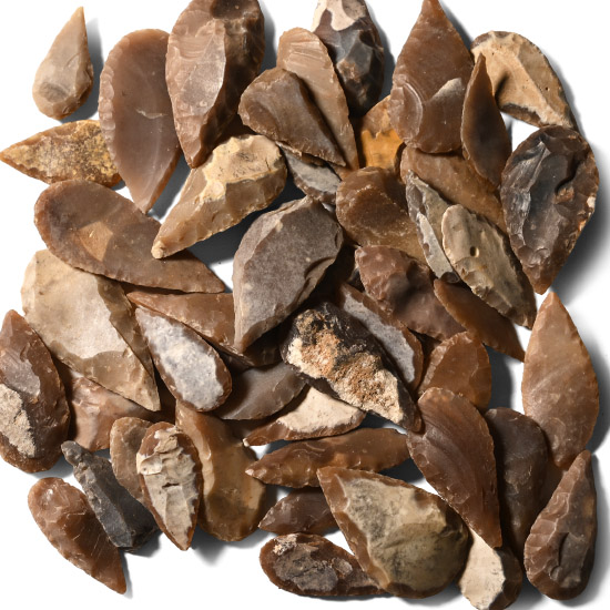 Stone Age Mixed Type Arrowhead Collection