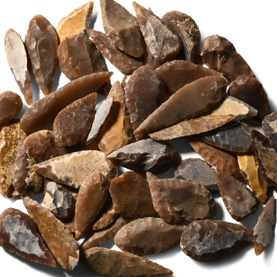 Stone Age Mixed Type Arrowhead Collection