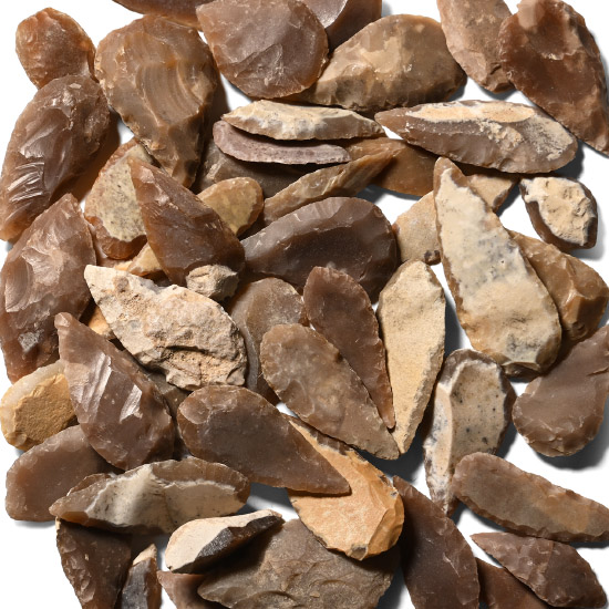 Stone Age Mixed Type Arrowhead Collection