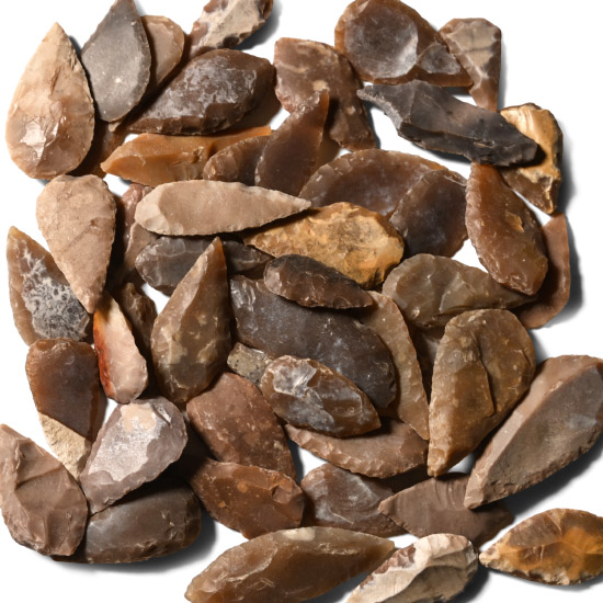 Stone Age Mixed Type Arrowhead Collection