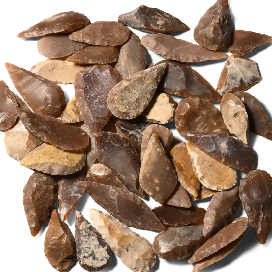 Stone Age Mixed Type Arrowhead Collection