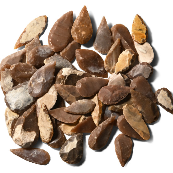 Stone Age Mixed Type Arrowhead Collection
