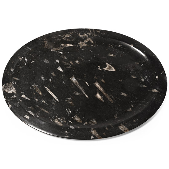 Large Polished Orthoceras Fossil Oval Platter