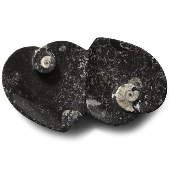 Polished Goniatite and Orthoceras Fossil Double Heart-Shaped Bowl