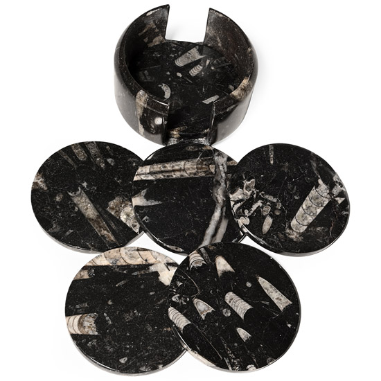 Polished Orthoceras Fossil Coaster Set