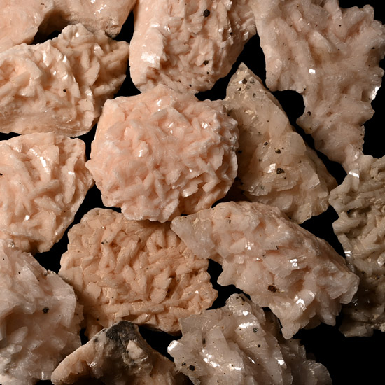 Group of Thirteen [13] Pink Dolomite Crystal Specimens