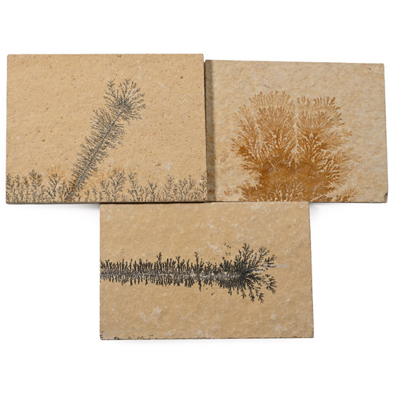 Manganese Dendrite Landscape Plaque Group