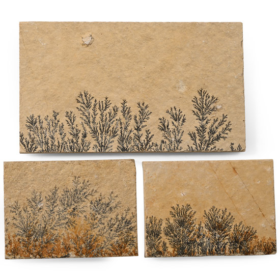 Manganese Dendrite Landscape Plaque Group