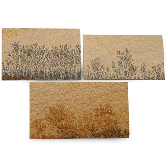 Manganese Dendrite Landscape Plaque Group