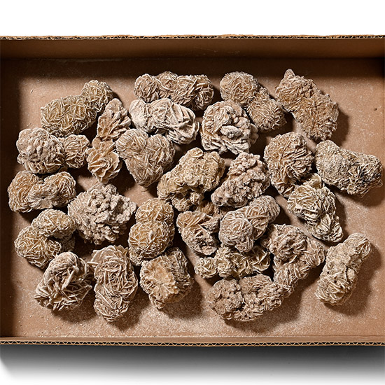 Box of Twenty-Seven [27] Desert Rose Specimens