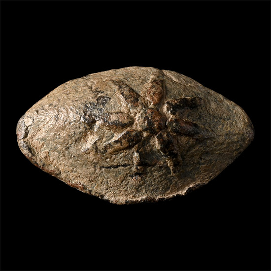 Greek Lead Slingshot with Macedonian Star
