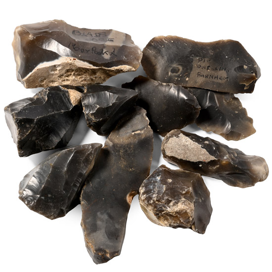 Farnham Stone Age Knapped Flint Tool and Core Collection
