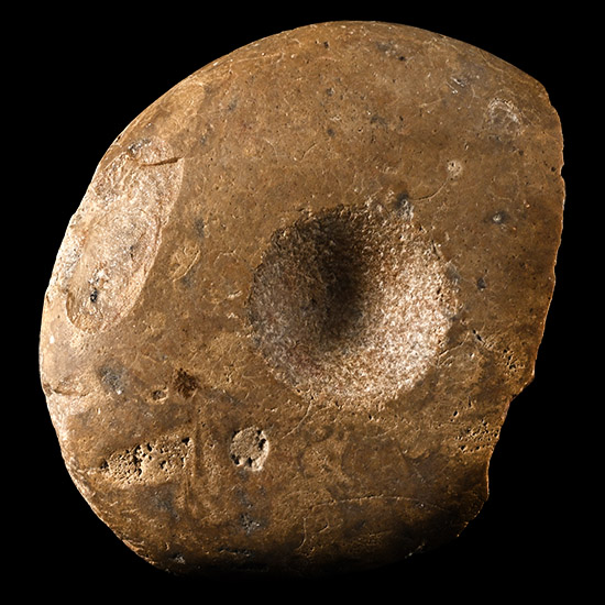 Farnham Stone Age Polished Macehead