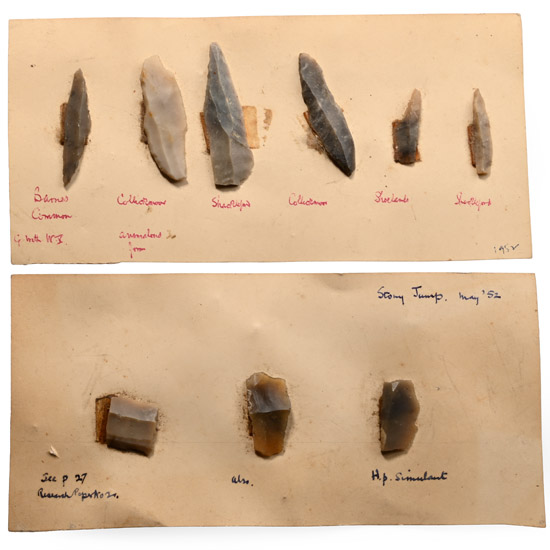 Farnham Stone Age Knapped Blade Group