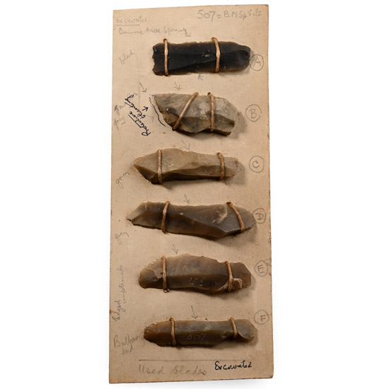 Farnham Stone Age Knapped Knife Blade Group