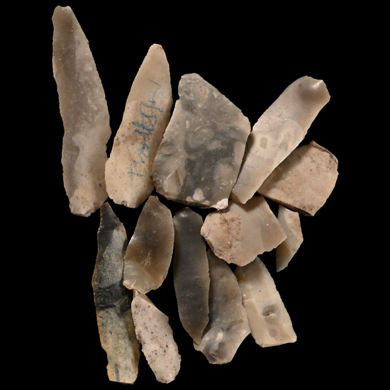 Farnham Stone Age Knapped Blade Group