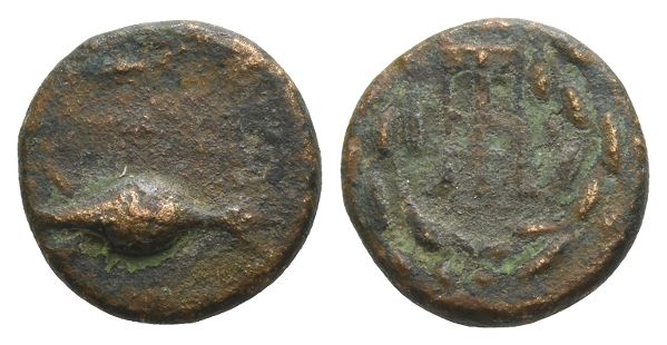 Sikyonia, Sikyon AE Chalkous.
