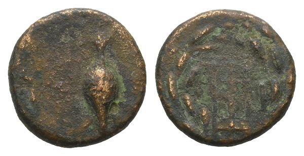 Sikyonia, Sikyon AE Chalkous.
